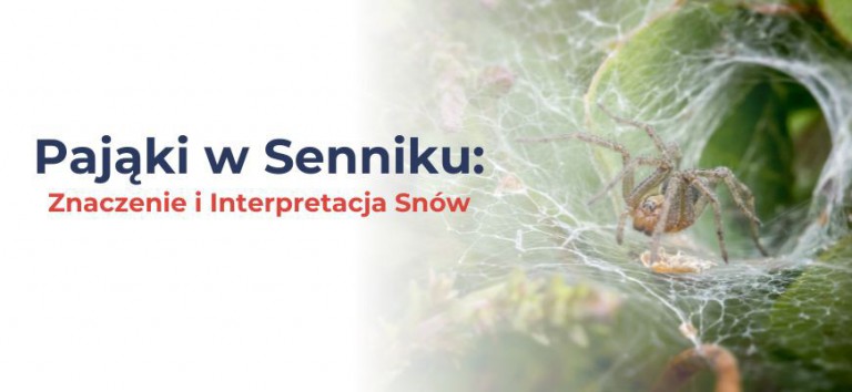 Pająki w Senniku: Znaczenie i Interpretacja Snów