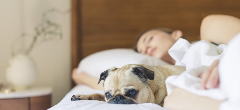 Fazy snu, czyli jak funkcjonuje mózg podczas odpoczynku
