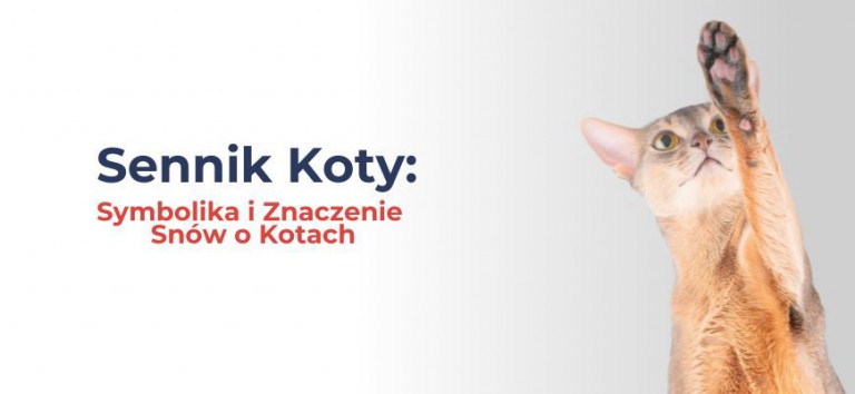 Sennik Koty: Symbolika i Znaczenie Snów o Kotach