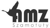 AMZ